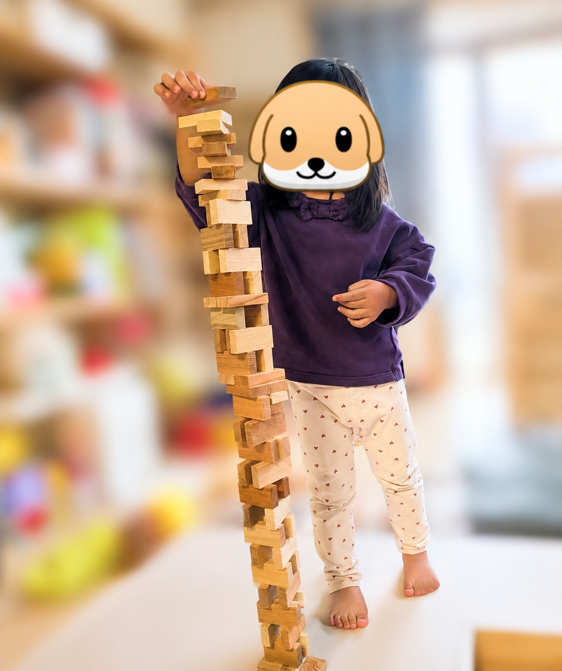 木のドミノで遊ぶ姉妹
